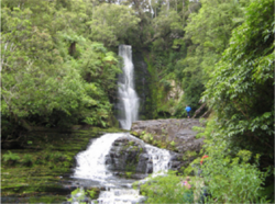 refreshing streams 2 2014