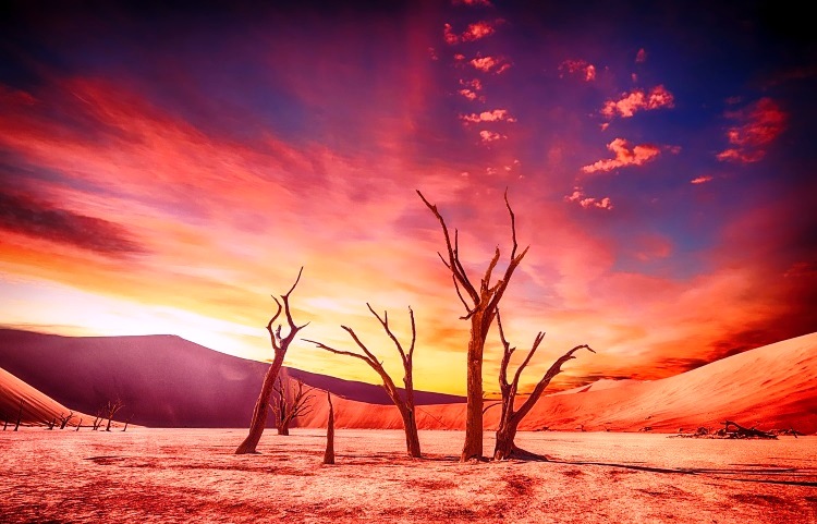 DESERT WILDERNESS pixabay