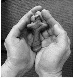 A HOLDING CROSS