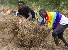 CA burundi 2013