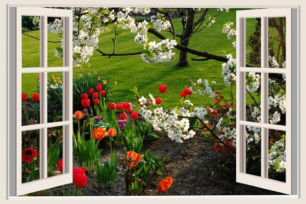 GARDEN WINDOW