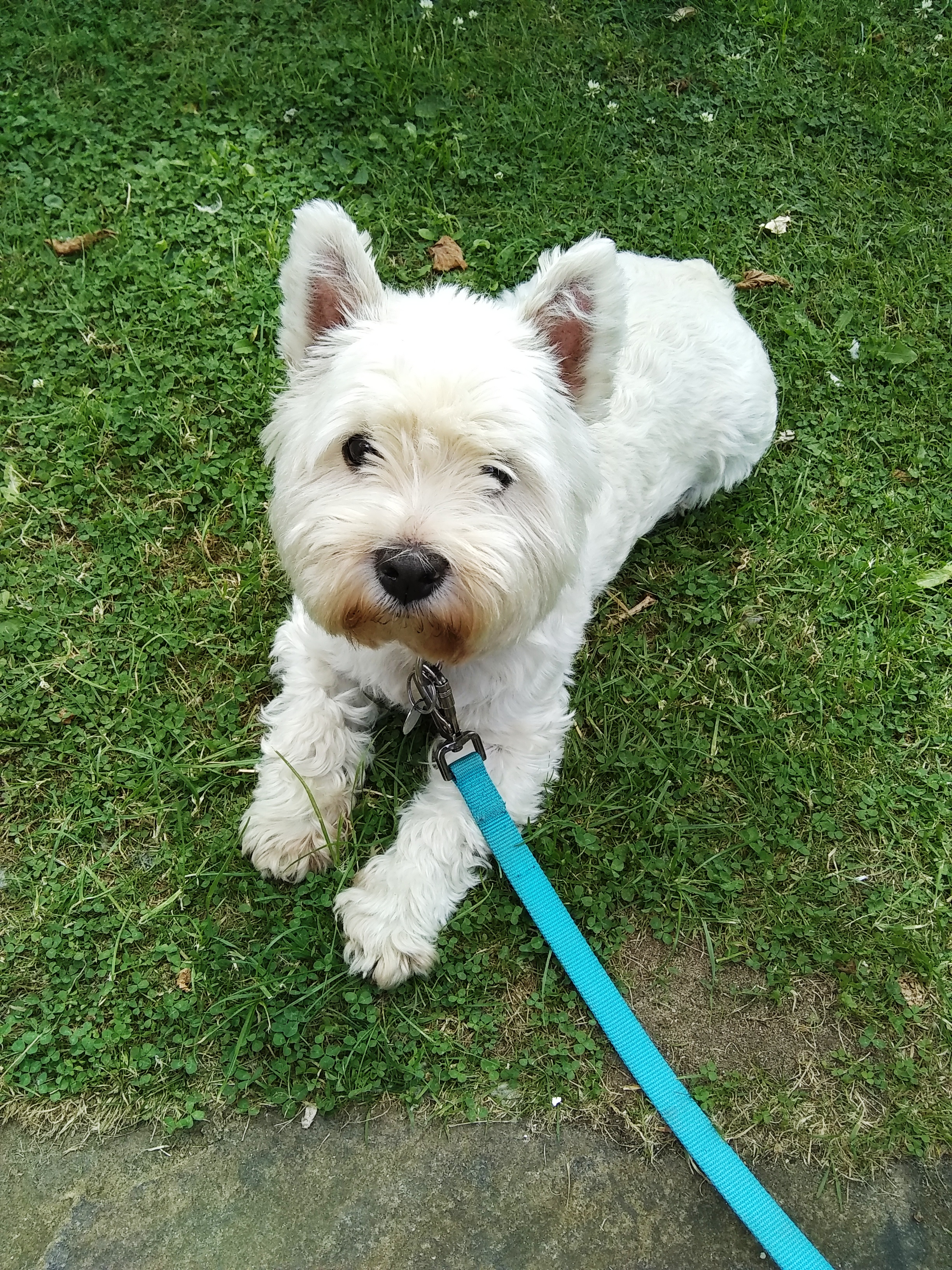 LIZZY PRITCHARD 07-2019